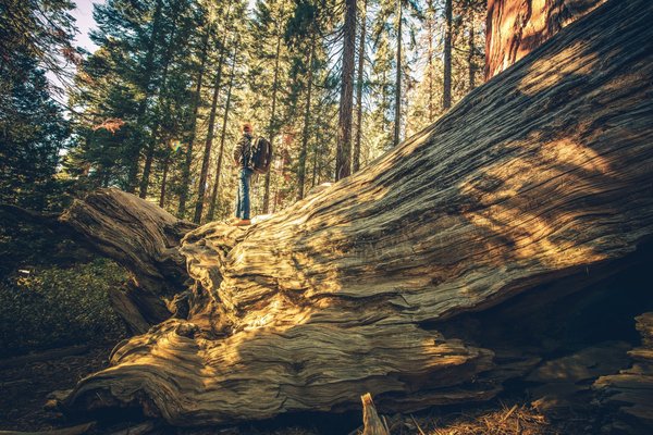 Tourisme et réalité virtuelle : Les prochaines grandes destinations à visiter depuis chez soi